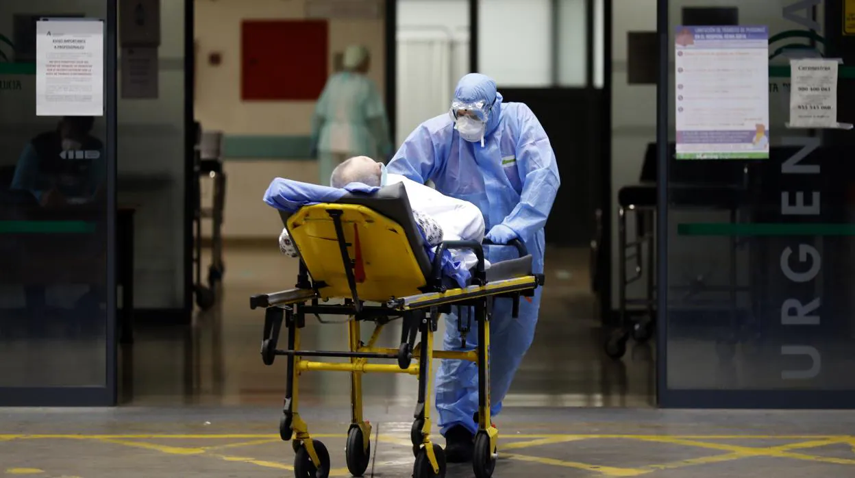 Un sanitario traslada a un enfermo en el hospital Reina Sofía de Córdoba