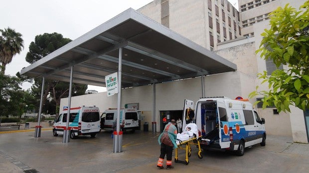 Día trágico en Córdoba con siete muertes por coronavirus que elevan los fallecidos a 56