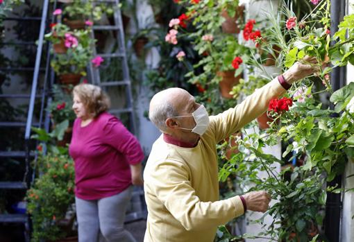 Los propietarios de Martín de Roa, 7