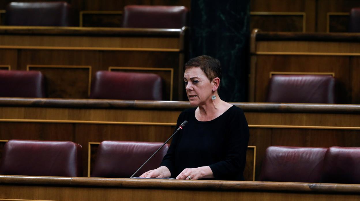 La portavoz de EH Bildu en el Congreso de los Diputados, Mertxe Aizpuru