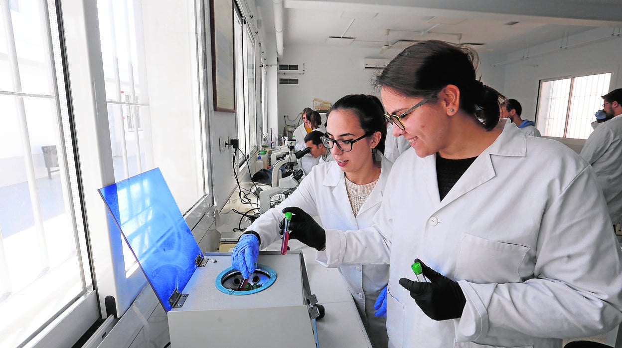 Dos alumnas de un centro de Córdoba durante una clase en el laboratorio