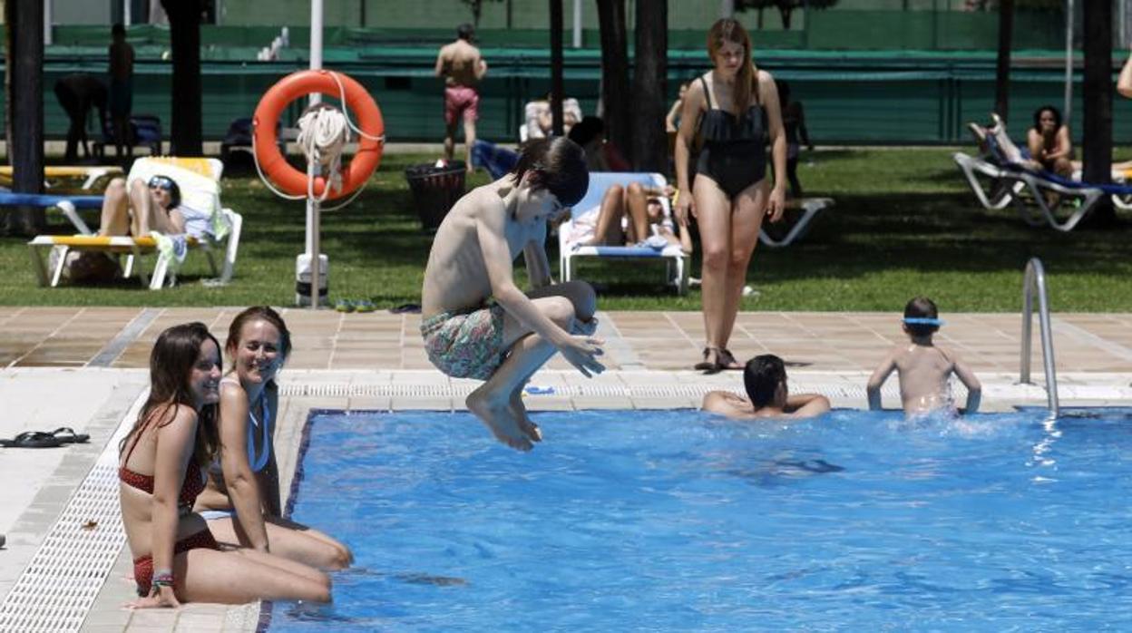 Un niño salta a la piscina olímpica del Aeroclub de Córdoba en la jornada del sábado. En vídeo, las instalaciones del club social al mediodía