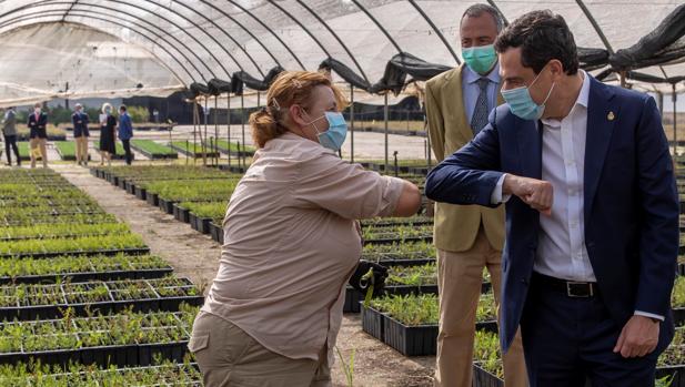 Andalucía plantea llevar al Constitucional el trato desigual de la renta mínima