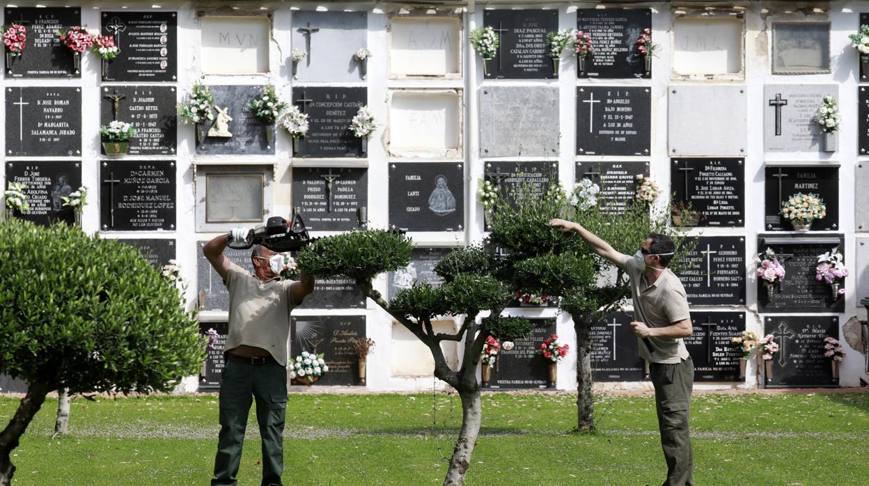 Dos trabajadores de Cecosam, en el cementerio de San Rafael