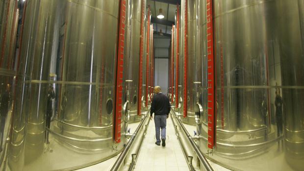 ¿Qué empleos se buscan más en la industria del olivar?