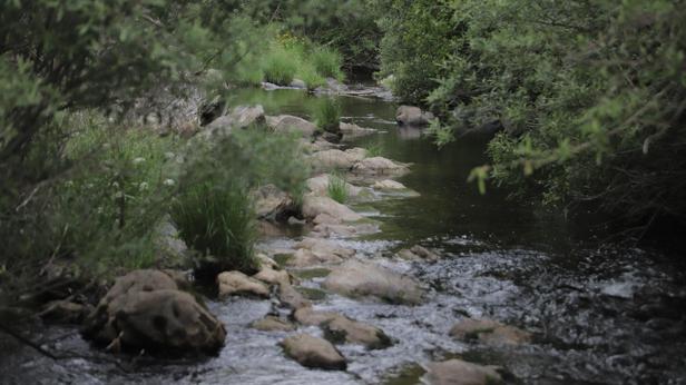 La verde sierra cordobesa