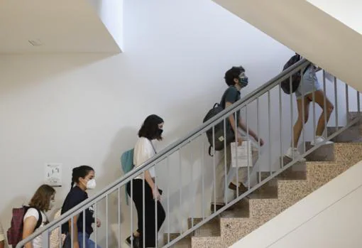 Los estudiantes se dirigen al aula de la Facultad de Medicina de la Universidad de Córdoba en que harán el examen de Selectividad