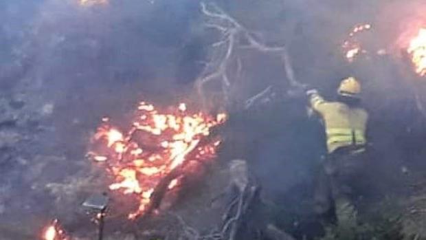 400 profesionales y 38 medios aéreos combaten el incendio forestal del parque natural de Cazorla