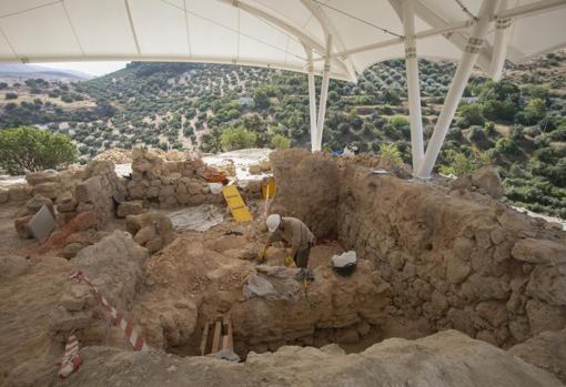 Los ceranos olivares vistos desde el Cerro de la Merced