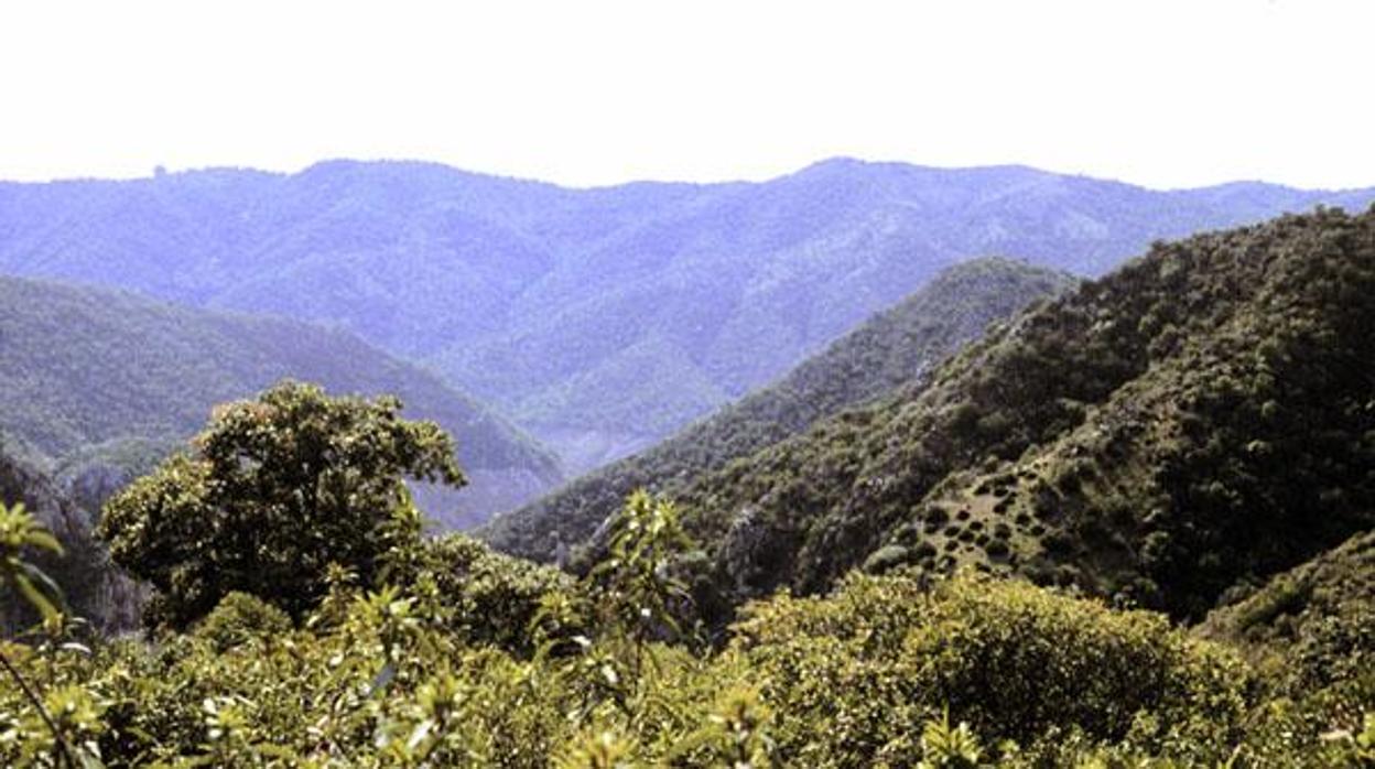 Imagen de la Sierra de Hornachuelos