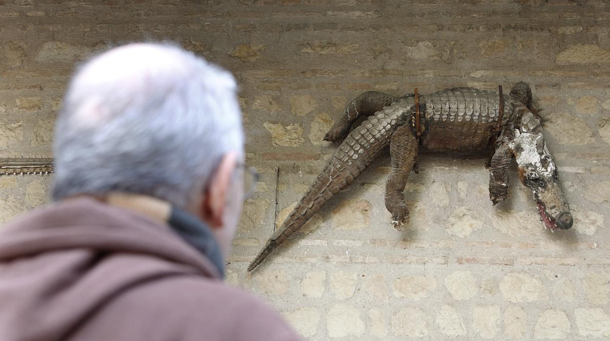 El caimán de la Fuensanta en el templo que da nombre al popular barrio cordobés