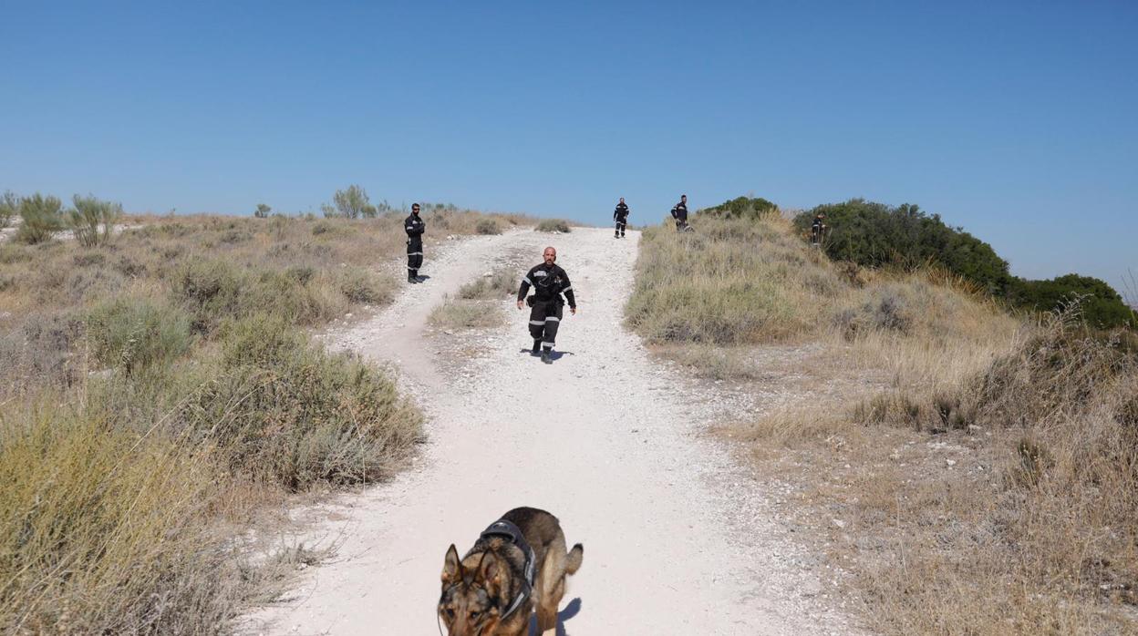 Un perro rastreador y varios agentes, esta mañana en el entorno de Rivas-Vaciamadrid