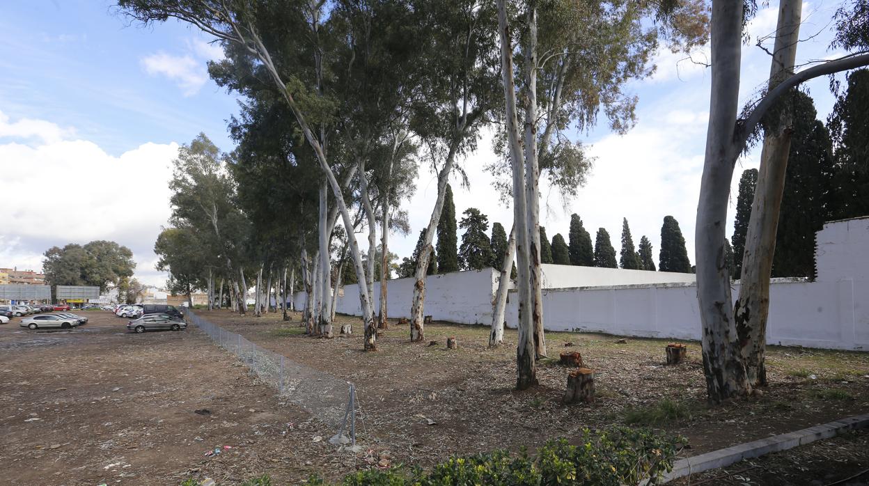 Terrenos que iba a ocupar el tanatorio municipal de Córdoba