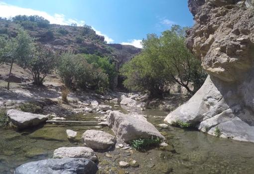 Paraje de Los Canales