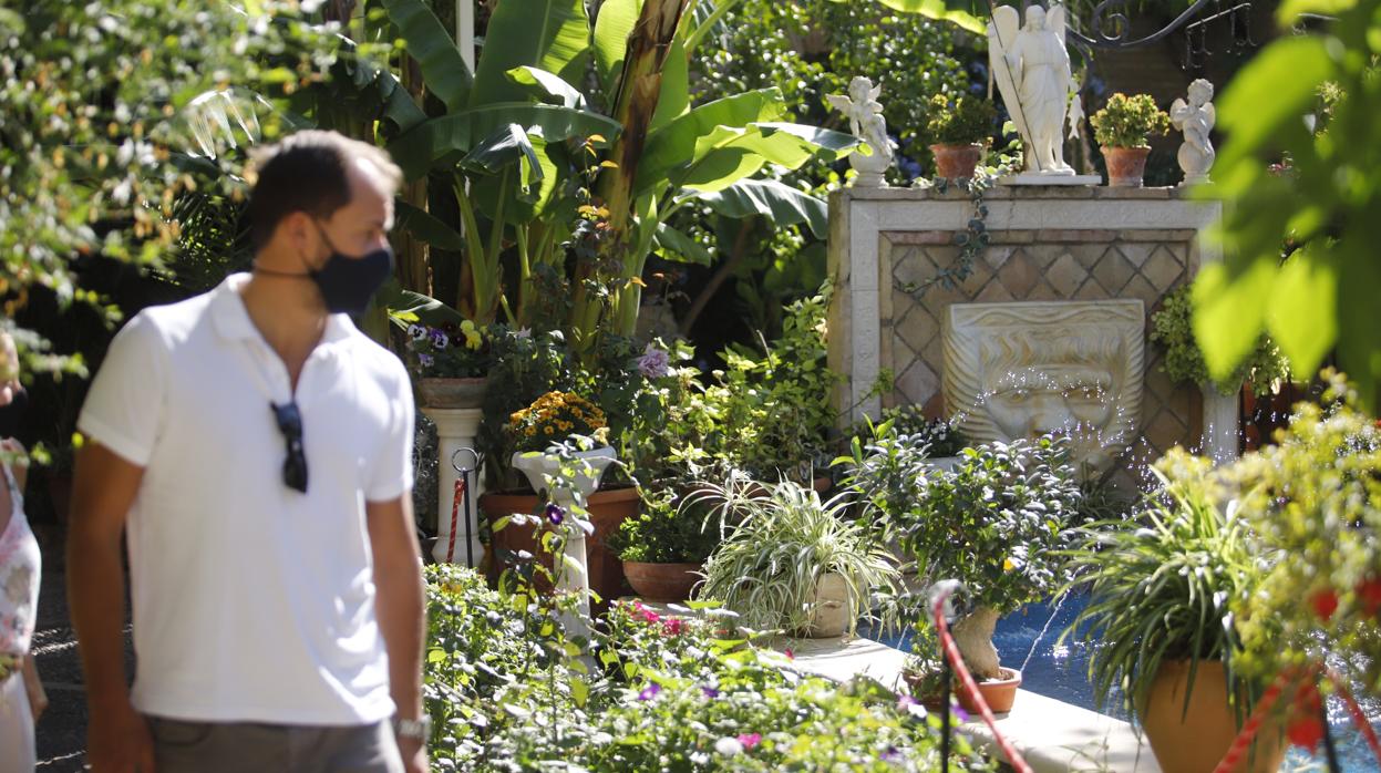 Un visitante, hoy en el patio de Aceite,8