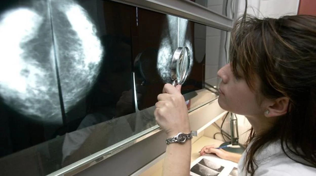 Una doctora observa una mamografía