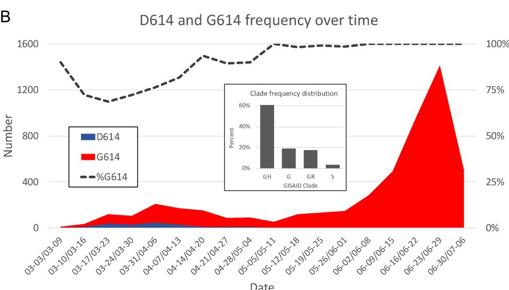 Una mutación genética del coronavirus hace al virus «más contagioso»