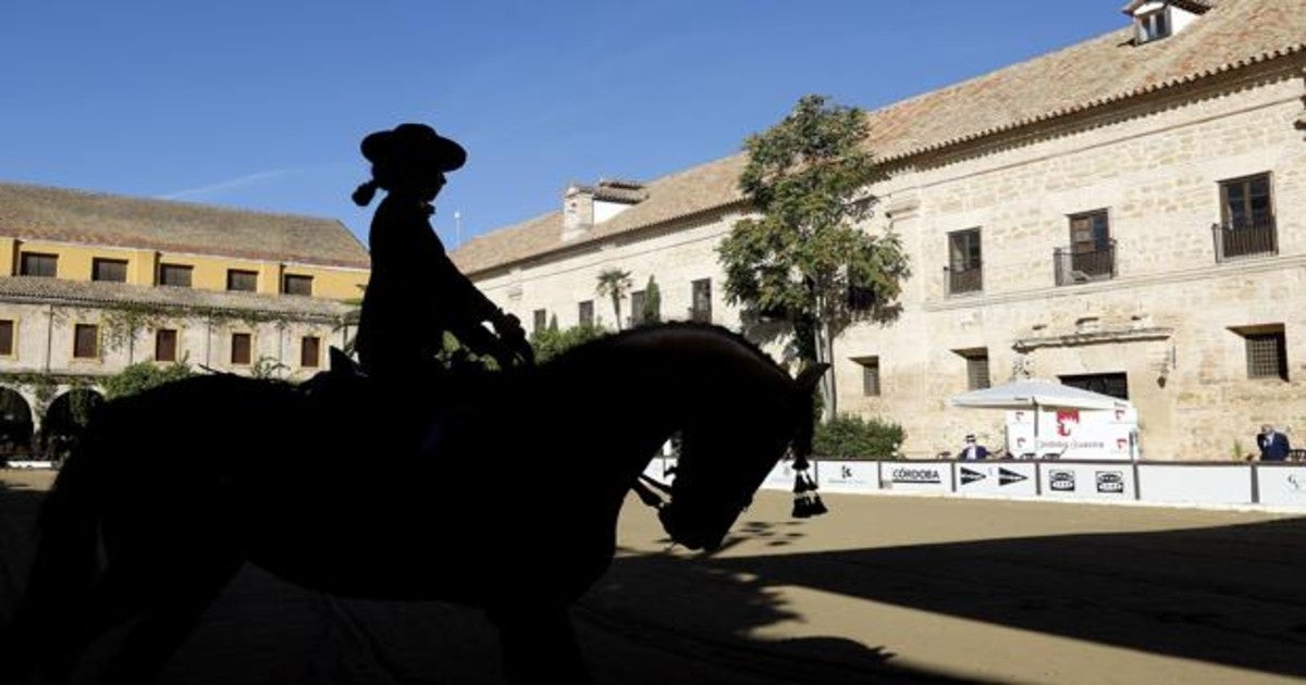 Un jinete a contraluz se ejercita por la pista central de Caballerizas Reales con el edificio principal al fondo