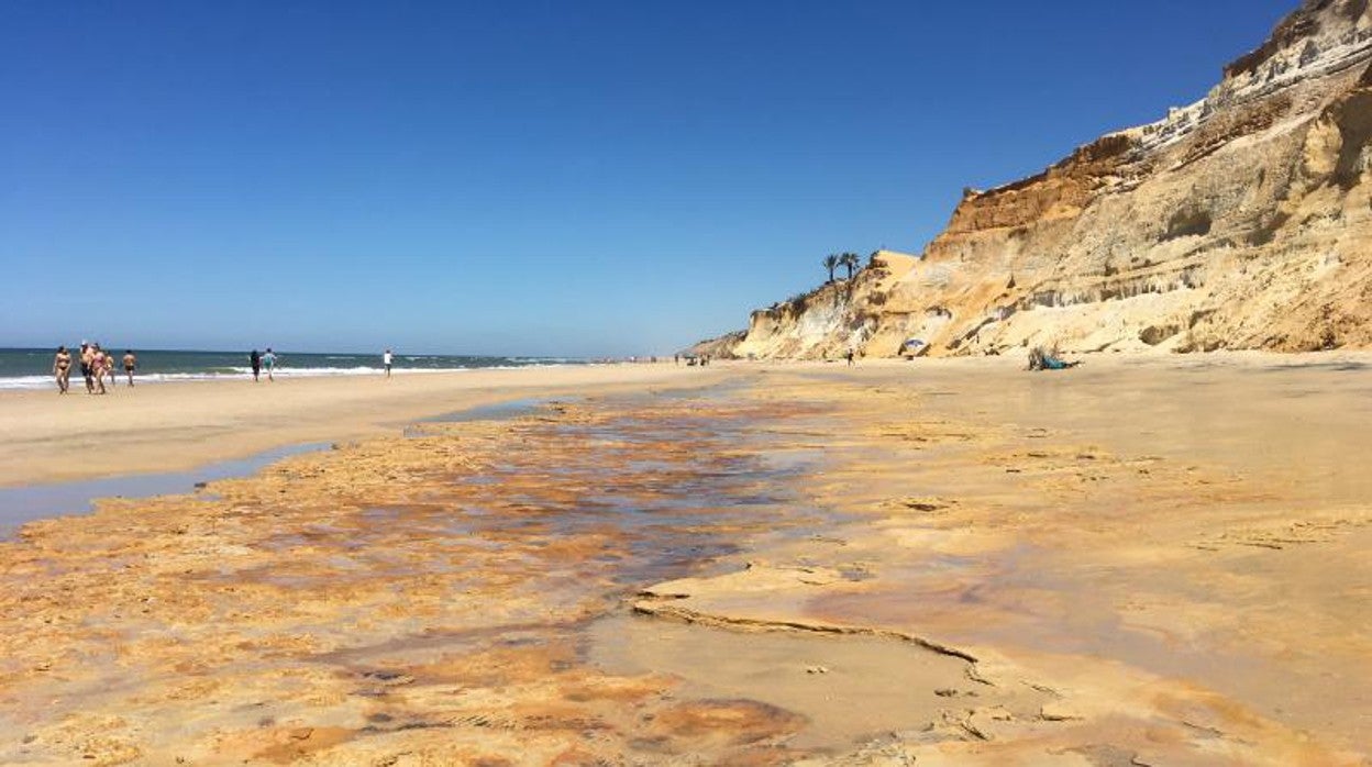 Zona del yacimiento de huellas fosilizadas en la playa de Matalascañas