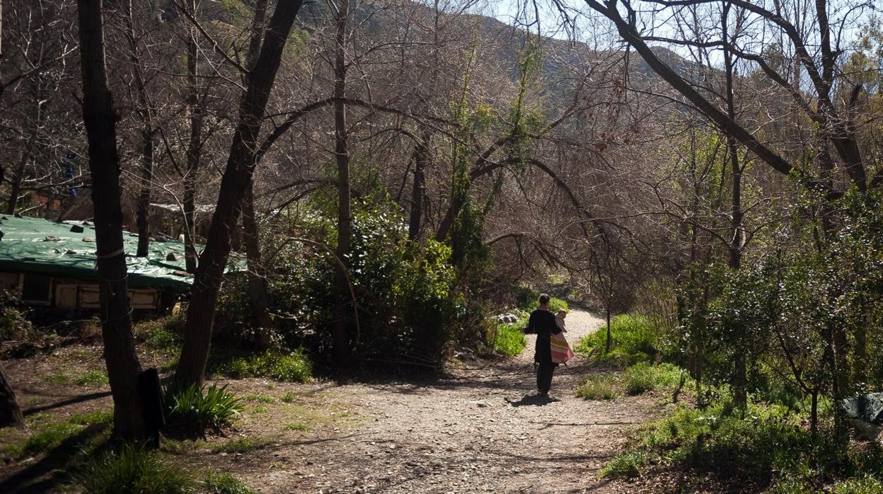 Una madre pasea con su bebé por el bosque de Beneficio