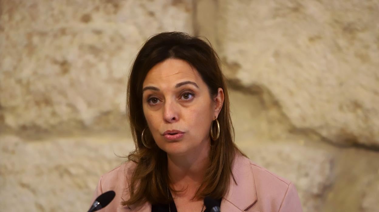 Isabel Ambrosio, en una comparecencia