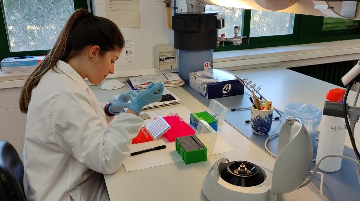 Una de las investigadoras participantes, en el laboratorio.