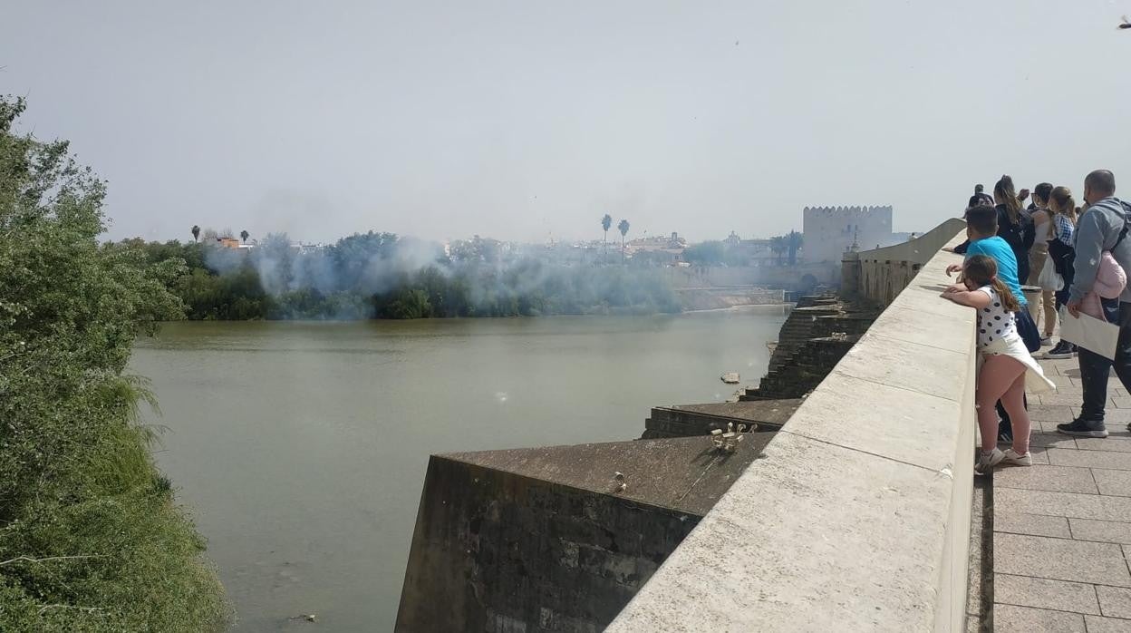 Varias personas observan el incendio en la Ribera desde el Puente Romano