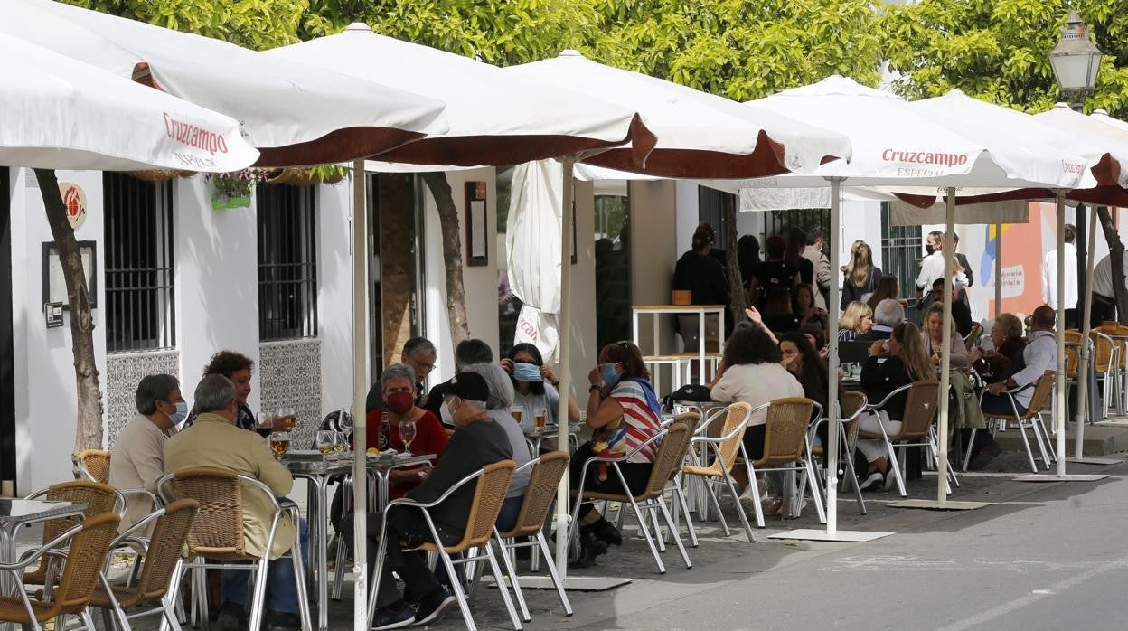 Terraza en el paseo de la Ribera de Córdoba