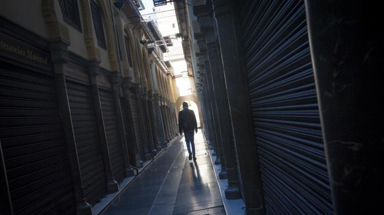 Calle de Granada capital con los comercios cerrados durante el confinamiento