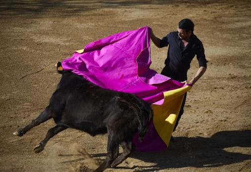 Juan Serrano &#039;Finito de Córdoba&#039;: «He nacido torero y moriré siendo torero, porque este es mi sueño hecho realidad»