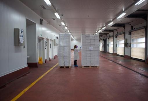 Interior de las instalaciones del PCF de Algeciras