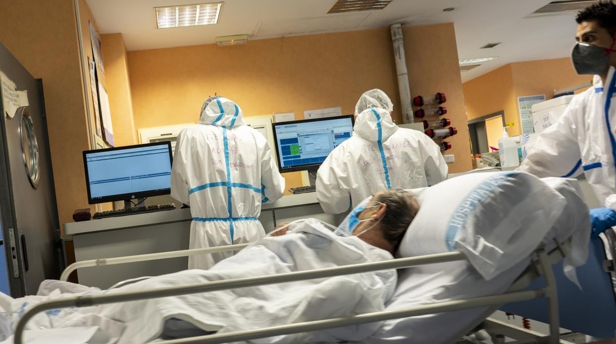 Un sanitario traslada a un paciente Covid en un centro hospitalario