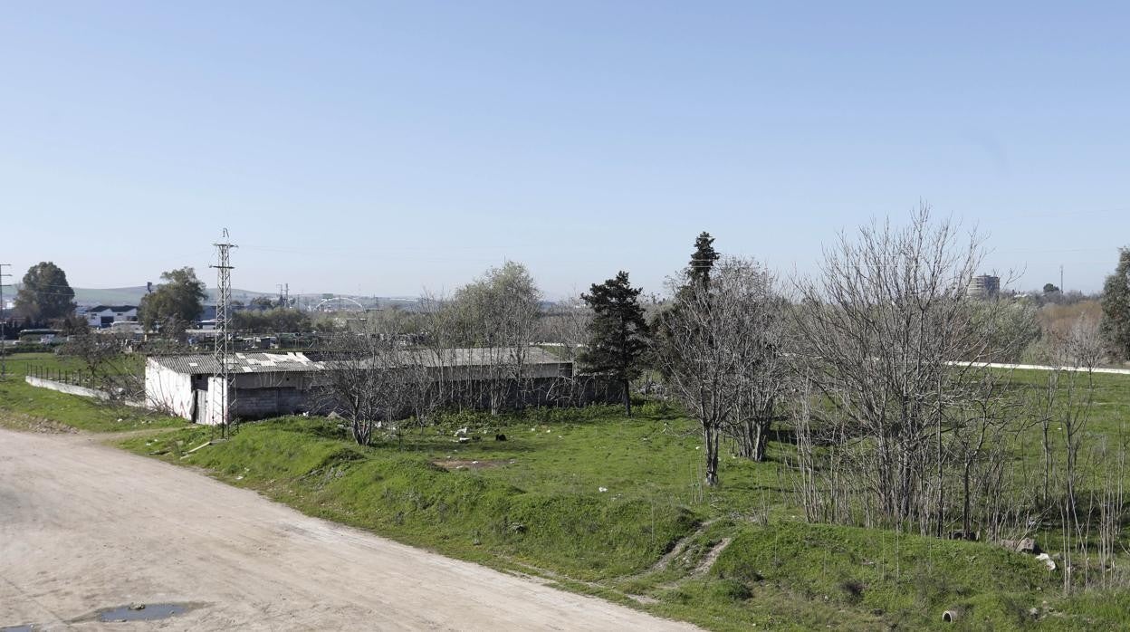 Zona del Cordel de Écija