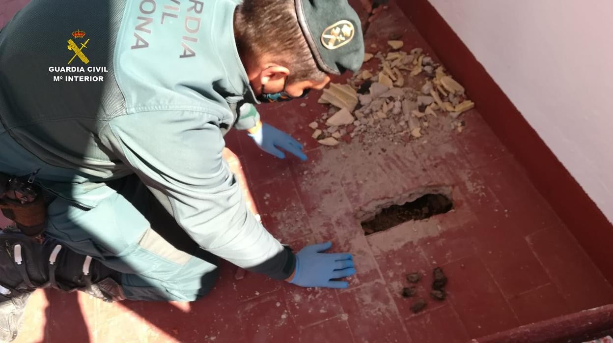 Actuación de la Gurdia Civil; en vídeo, el momento en que descubren los murciélagos muertos