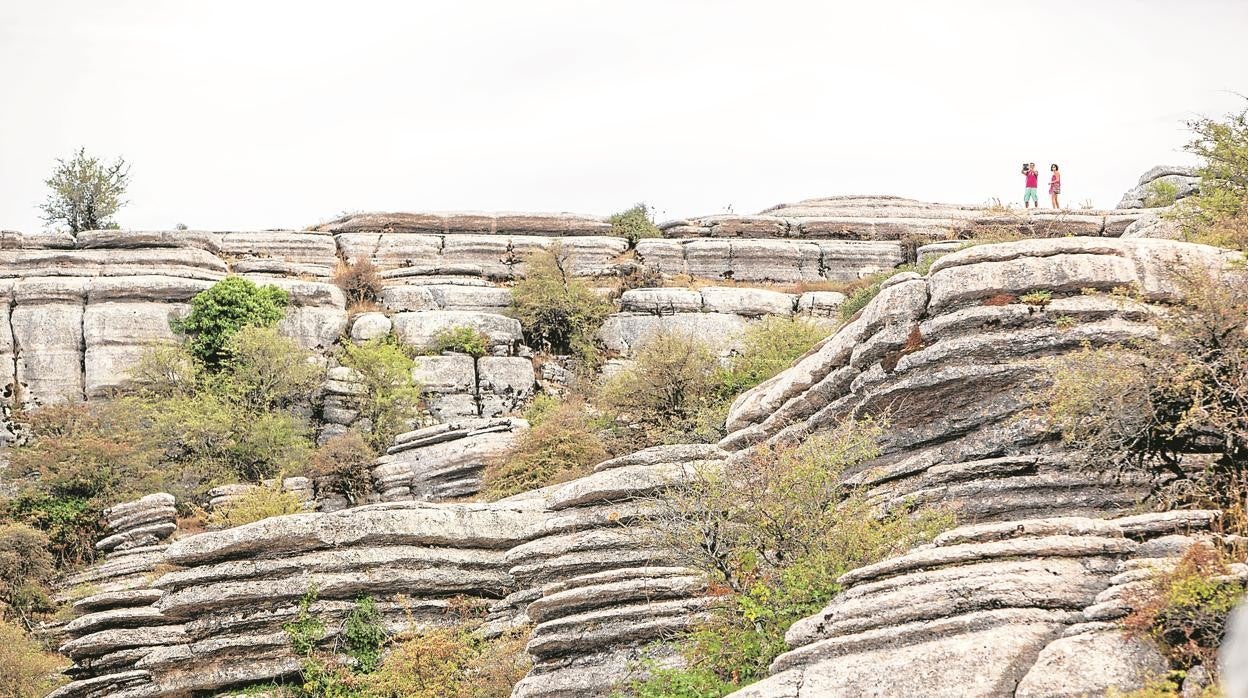 Paisaje de rocas en el Torcal de Antequera, Málaga