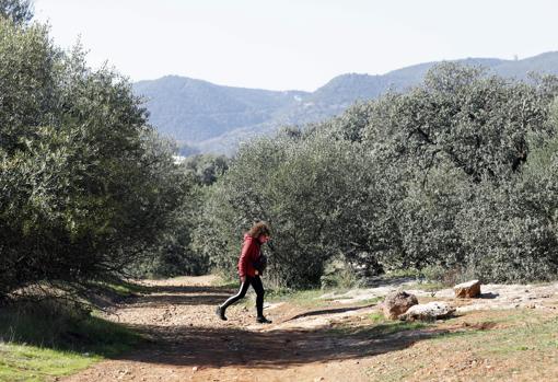 Córdoba capital vuelve a nivel 2 de alerta sanitaria y mejora sus aforos en bares y comercios