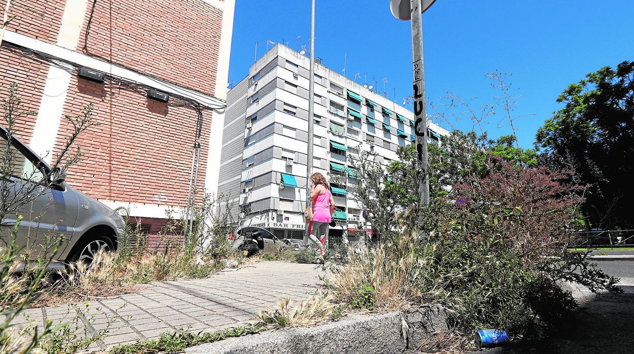 Signos evidentes de la necesidad de arreglo y limpieza del acerado de la Fuensanta-Santuario