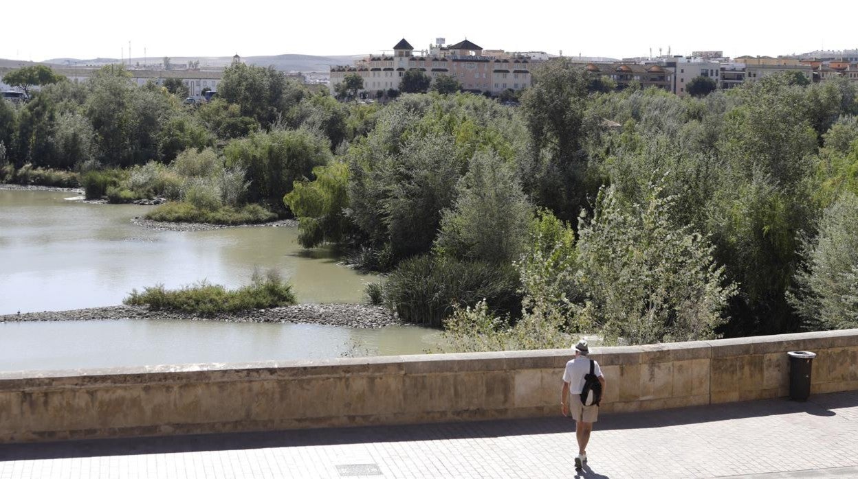 Un hombre delante del Guadalquivir