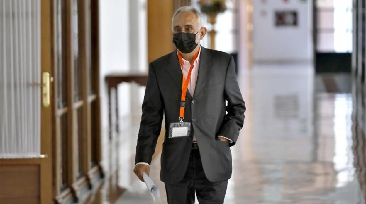Fernando Villén, exdirector de la extinta fundación de empleo de la Junta, la Faffe, en el Parlamento