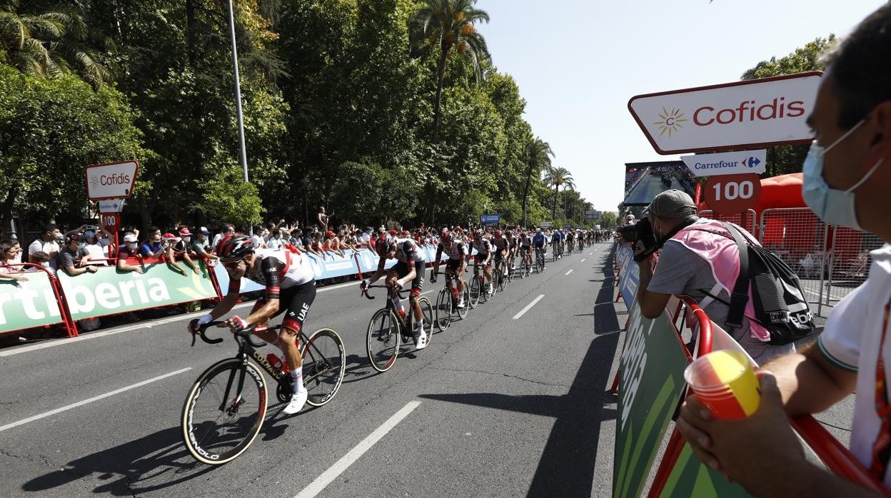 El pelotón de la Vuelta, a su paso por Córdoba
