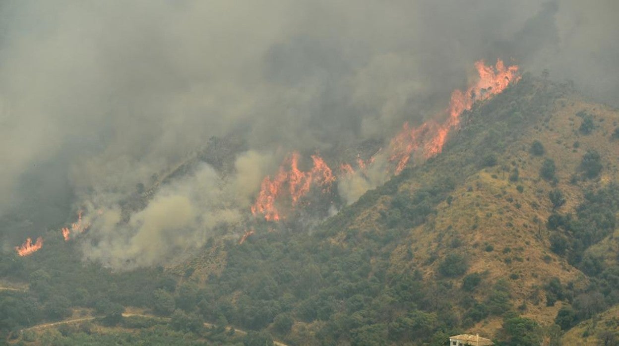 Las llamas devorando masa forestal en la Sierra Bermeja