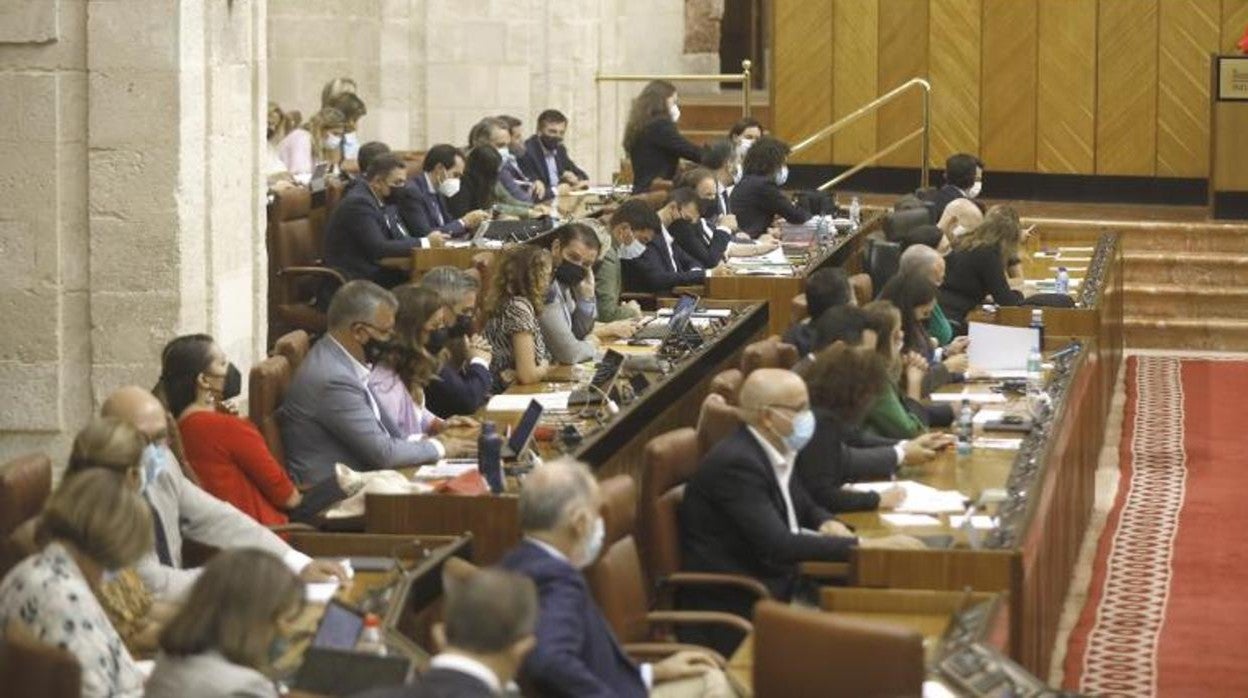 Los diputados del PP, al fondo, separados de los de Ciudadanos por un pasillo en el salón de plenos del Parlamento