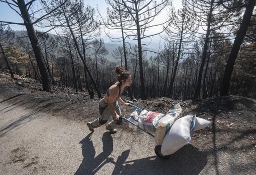 Yolanda carga comida para los animales a través del monte quemado