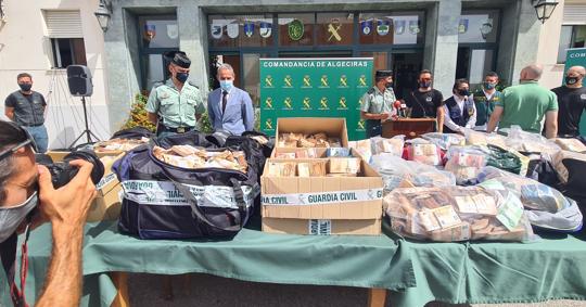 Imagen del dinero intervenido en una operación en Algeciras