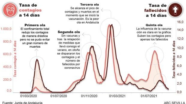 La vacuna reduce la mitad de las muertes por Covid en lo que llevamos de 2021