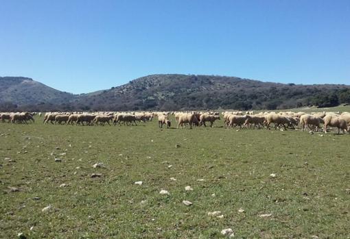 Sendero del río Bailón
