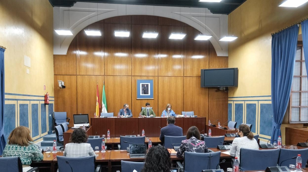 Imagen de la comparecencia en la comisión de investigación de la Faffe de Antonio Rivas