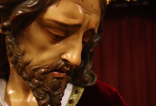 Primer plano de la imagen realizada por Manuel Luque Bonillo