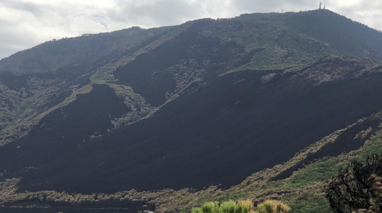 Vista de Sierra Bermeja calcinada