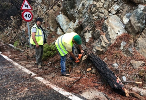 Tareas de limpieza de las carreteras cerca de
